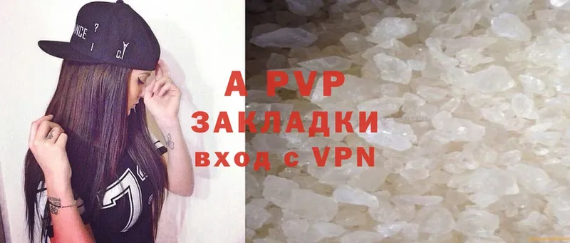 Alfa_PVP СК Выборг