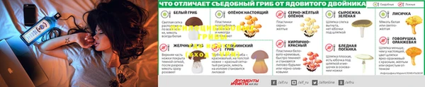 мескалин Осташков