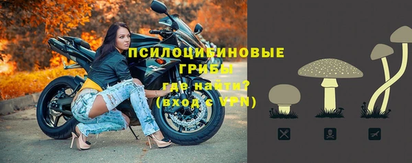 мескалин Осташков