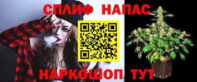 прущие грибы Беслан