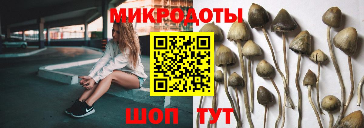Галлюциногенные грибы Psilocybine cubensis  Вход с VPN  Галлюциногенные грибы Magic Shrooms  Выборг 